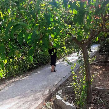 silencio-contemplativo-5